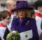 Camilla diserta le corse di Cheltenham
